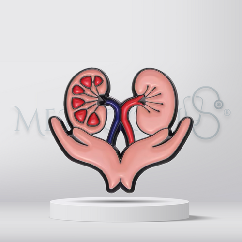 kidneys - Brooch