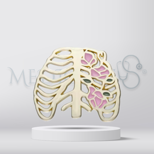 Golden thoracic cage - Brooch