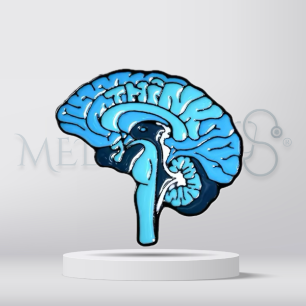 Brain - Brooch